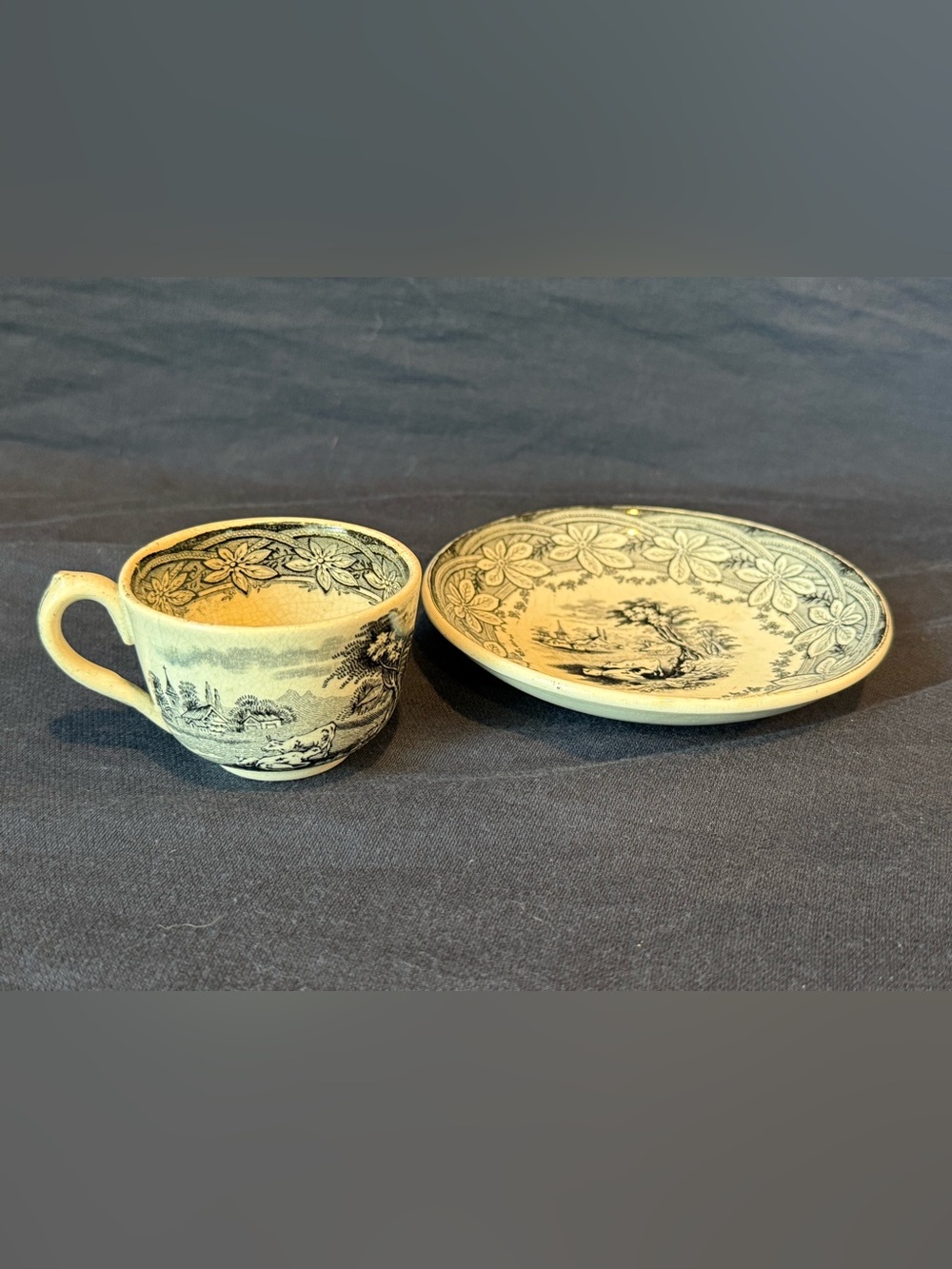 Vintage Staffordshire Earthenware Black And White Cup And Saucer